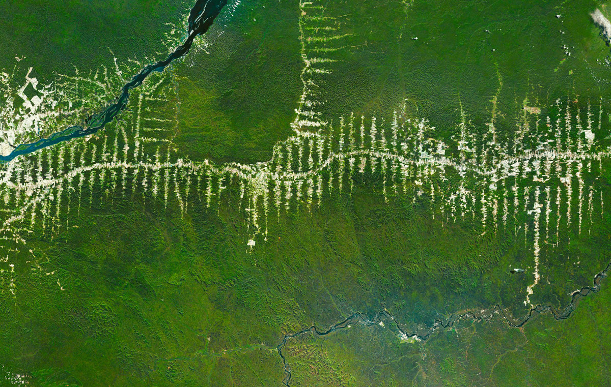 Brazilian-Amazon-Deforestation