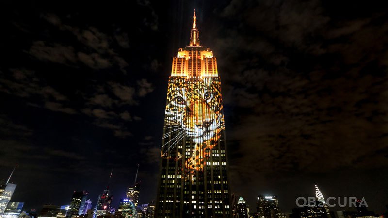 projecting-change-the-empire-state-building-ops-obscura-digital-2